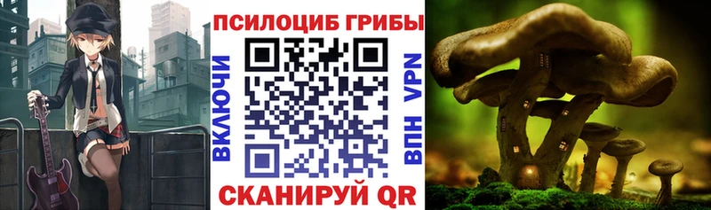 мега ССЫЛКА  купить наркоту  Покров  Галлюциногенные грибы MAGIC MUSHROOMS 